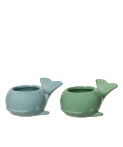 Porta Vaso Balena 11X7,5X5 H Cm