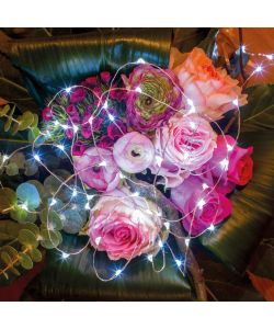 Lumineo Ghirlanda Luminosa LED Freddo Argento Elegante - 295 cm