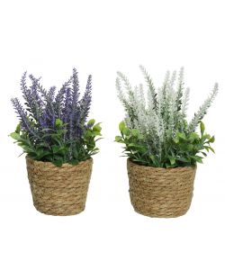 Piantina finta di Lavanda con cestino
