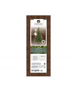 Albero Allison con led 180cm