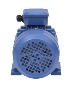 Motore Elettrico Trifase in Alluminio 3kW/4HP 2 Poli 2840 RPM