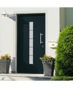 Porta d'Ingresso in Alluminio e PVC Antracite 100x200 cm 3056812
