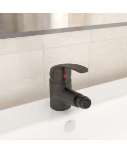 Rubinetto Miscelatore per Bid� Grigio 13x12 cm