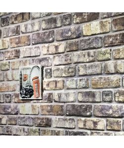 Pannelli Murali 3D con Design a Mattoni Multicolore 10 pz EPS 332928