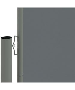 Tenda da Sole Laterale Retrattile Antracite 200x600 cm