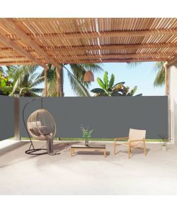 Tenda da Sole Laterale Retrattile Antracite 180x1000 cm