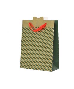 Decoris Giftbag - Busta Regalo Verde e Oro 8x18x24cm