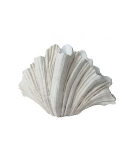 Kaemingk Vaso Decorativo a Conchiglia Bianco Sporco 31x57xH36 cm