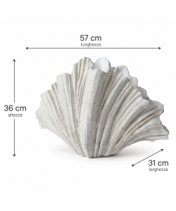 Kaemingk Vaso Decorativo a Conchiglia Bianco Sporco 31x57xH36 cm