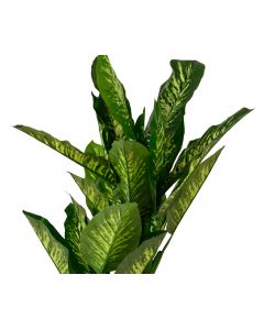 Pianta artificiale Dieffenbachia in vaso