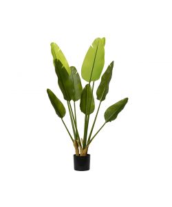 Pianta artificiale Strelitzia in vaso