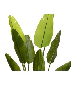 Pianta artificiale Strelitzia in vaso