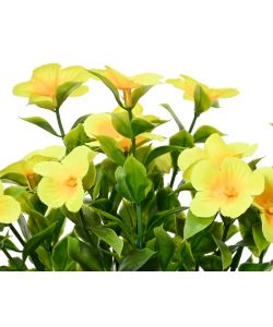 Catharanthus artificiale in vaso