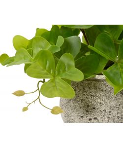 Pianta verde artificiale in vaso di cemento