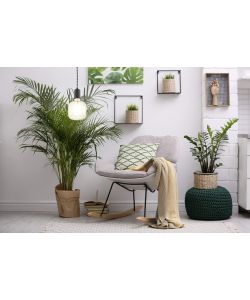 Eglo Lampadario a Sospensione Yorth in Acciaio Nero E27 12,5x200 cm