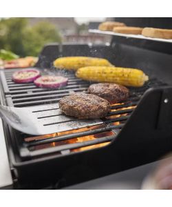 WEBER Barbecue a Gas Spirit E-210 con 2 Bruciatori - Griglia in Ghisa Smaltata