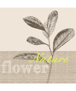 Tovaglioli a 3 veli 'Nature' 20 pezzi