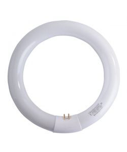 Airam Lampada Fluorescente Circolare - Cool-White - 22W