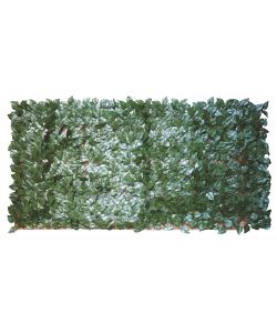 Sempreverde Foglie Lauro 1,5 x 3 m