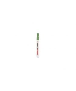 Pennarello Paint Verde Saratoga