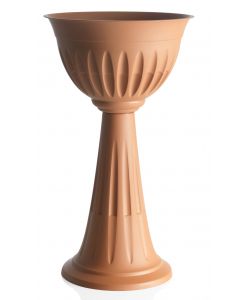 Colonna Alba  43 cm