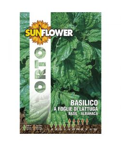Sementi Basilico Foglie Lattuga          Sunflower