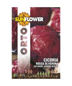 Sementi Cicoria Rossa Di Verona          Sunflower