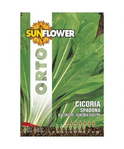 Sementi Cicoria Spadona                  Sunflower