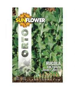 Sementi Rucola Coltivata Foglia Larga    Sunflower