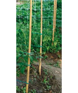 Canna bamboo serie pesante