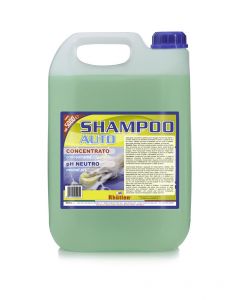 Shampoo Auto Concentrato 5 l