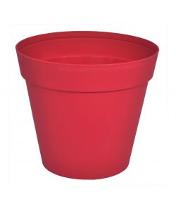 Vaso Chicago 25 x 22 cm Cherry