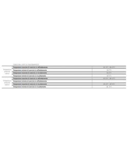 Climatizzatore Aryal 10000 BTU