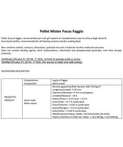 Pellet Mister Focus Faggio