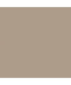 Max Meyer Idropittura Superlavabile Home Color Savana - 2.5 L