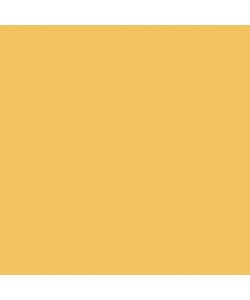 Max Meyer Idropittura Superlavabile Home Color - Giallo Senape 2.5 L