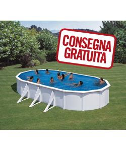 Piscina Ovale Parete Acciaio 500 x 300 x 120 h cm