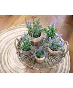 Pianta di Lavanda artificiale