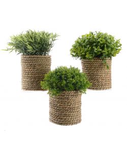 Pianta verde artificiale in vaso 21 cm