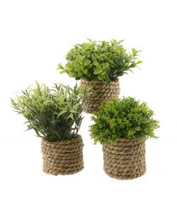 Pianta verde artificiale in vaso 16 cm
