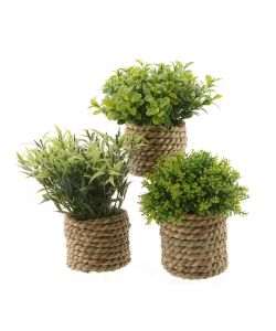 Kaemingk Pianta Artificiale - Verde - Vaso 16x13cm