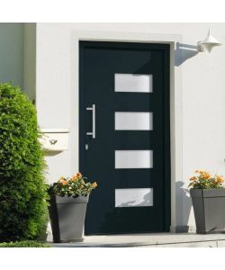 Porta d'Ingresso in Alluminio e PVC Antracite 110x210 cm 3056829